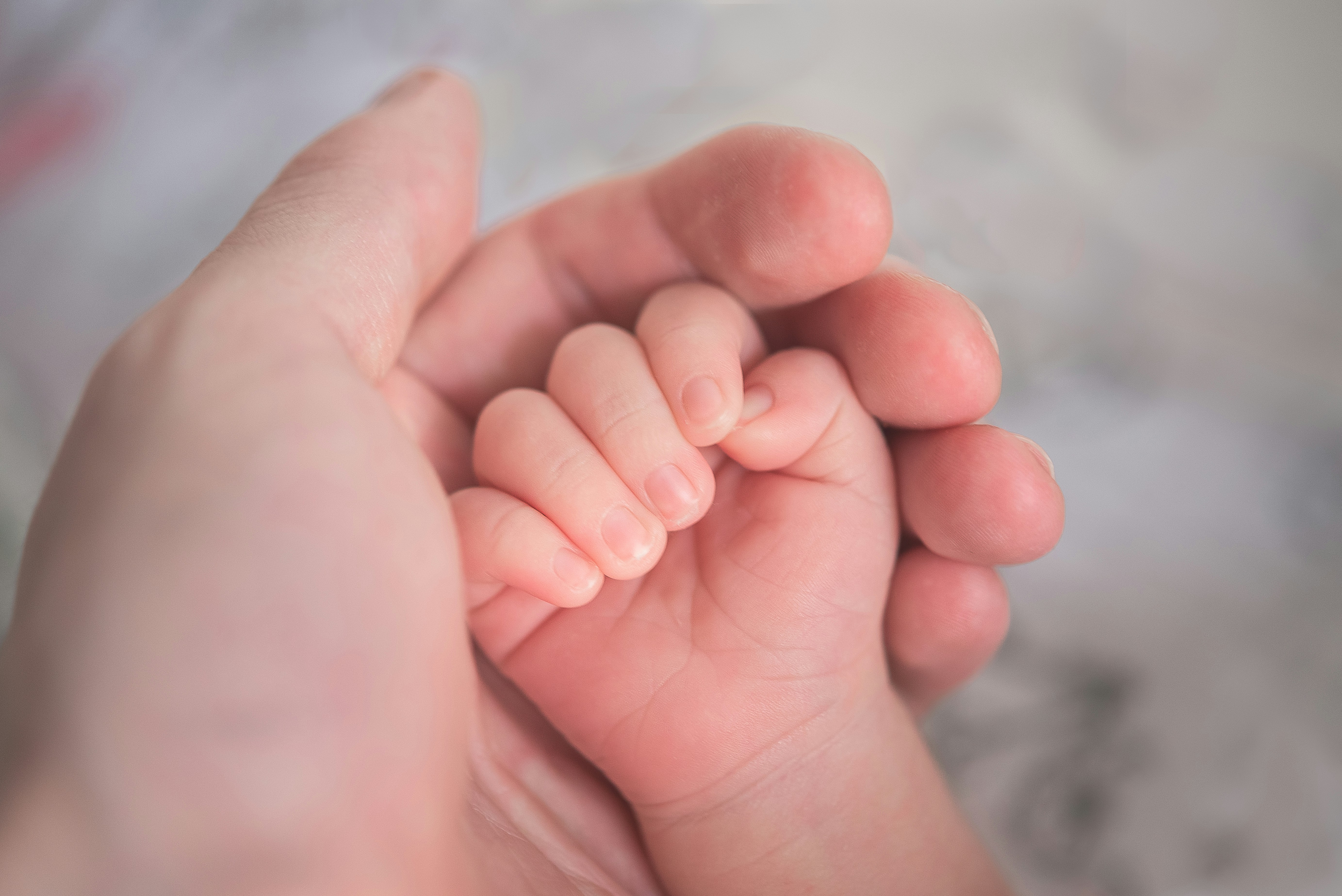 Nærbilde av en babyhånd som griper en voksens finger, med en myk og uskarp bakgrunn. Illustrasjon.